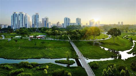 The City Environment and .